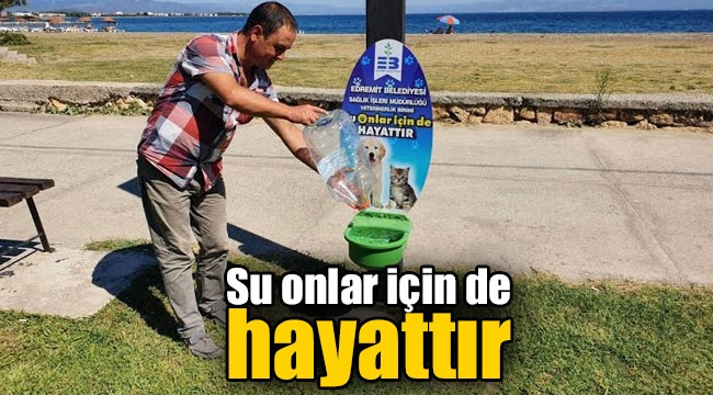 Su onlar için de hayattır