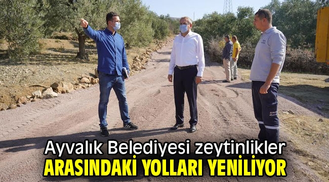 Ayvalık Belediyesi zeytinlikler arasındaki yolları yeniliyor