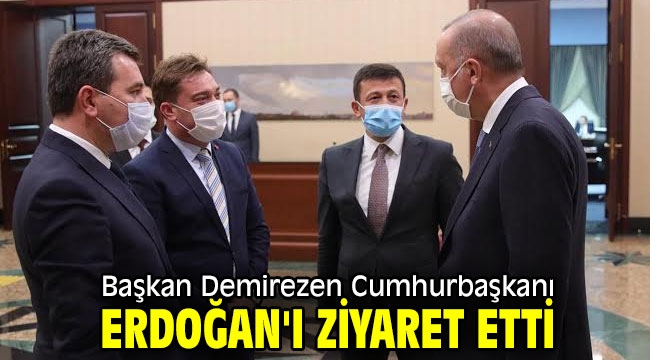 Başkan Demirezen Cumhurbaşkanı Erdoğan'ı ziyaret etti