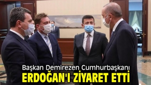 Başkan Demirezen Cumhurbaşkanı Erdoğan'ı ziyaret etti