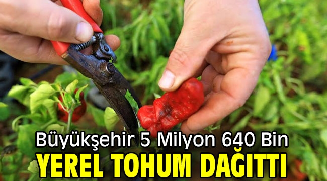 Büyükşehir 5 Milyon 640 Bin Yerel Tohum Dağıttı 