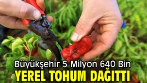 Büyükşehir 5 Milyon 640 Bin Yerel Tohum Dağıttı 
