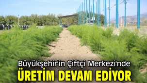 Büyükşehir'in Çiftçi Merkezi'nde Üretim Devam Ediyor 