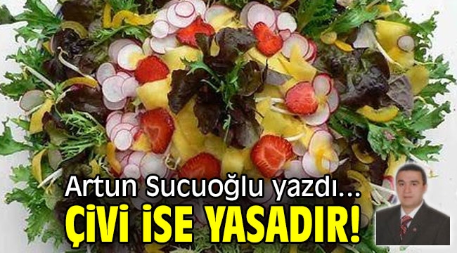 ÇİVİ İSE YASADIR ! 