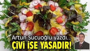 ÇİVİ İSE YASADIR ! 