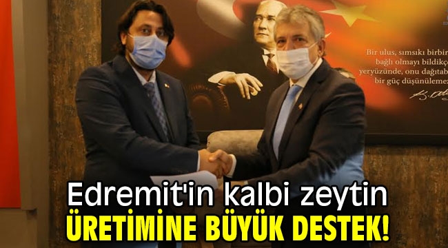 Edremit'in kalbi zeytin üretimine büyük destek!