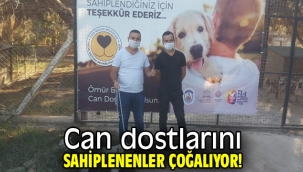 Efes Selçuk'ta can dostlarını sahiplenenler çoğalıyor!