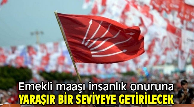 Emekli maaşı insanlık onuruna yaraşır bir seviyeye getirilecek