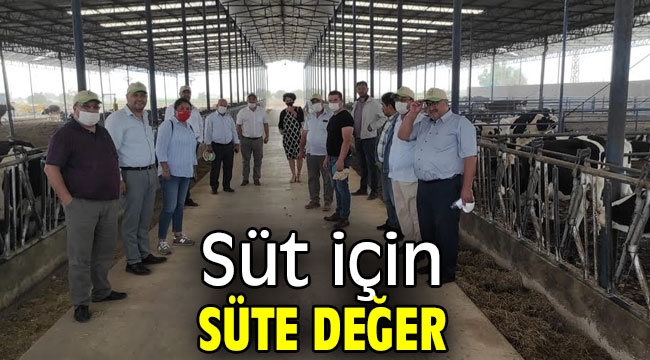 Süt için süte değer