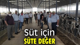 Süt için süte değer