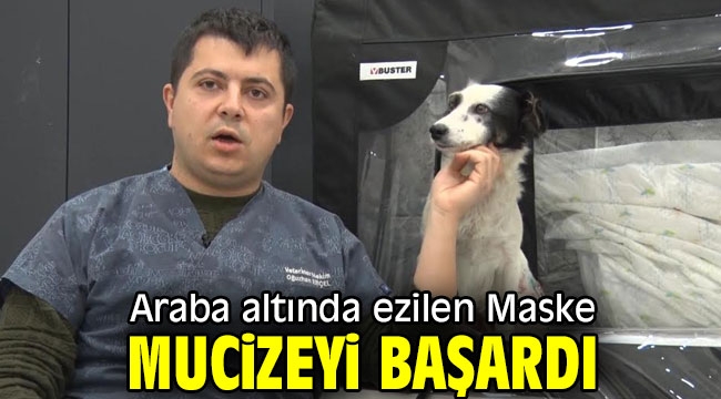 Araba altında ezilen Maske mucizeyi başardı