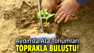 Aydın'da Ata Tohumları toprakla buluştu!