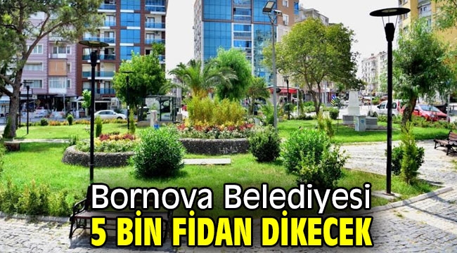 Bornova Belediyesi, Daha yeşil bir Bornova için çalışıyor!