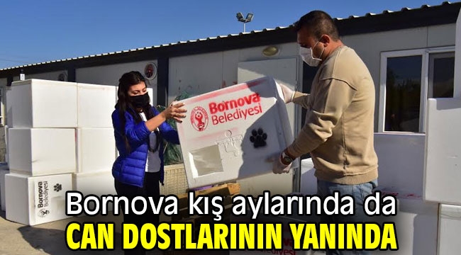 Bornova Belediyesi kış aylarında da can dostlarının yanında