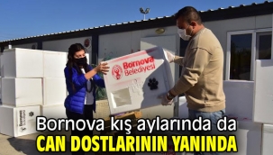 Bornova Belediyesi kış aylarında da can dostlarının yanında