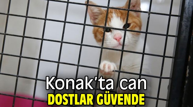 Can dostlar Konak'ta güvende