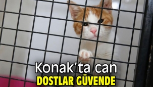 Can dostlar Konak'ta güvende