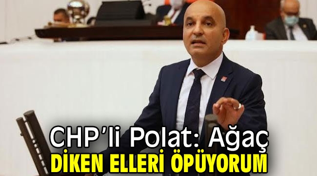 CHP'li Polat, "Ağaç diken elleri öpüyorum"