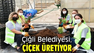 Çiğli Belediyesi, çiçek üretiyor