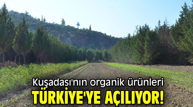 Kuşadası'nın organik ürünleri Türkiye'ye açılıyor!