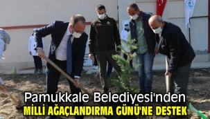 Pamukkale Belediyesi'nden Milli Ağaçlandırma Günü'ne destek