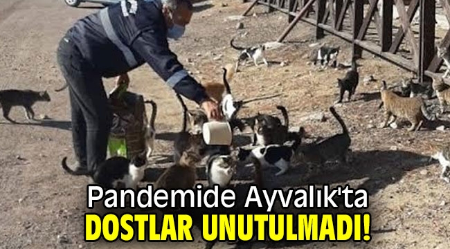 Pandemide Ayvalık'ta dostlar unutulmadı! 