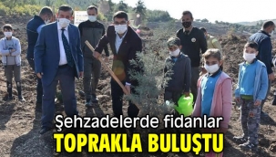 Şehzadelerde fidanlar toprakla buluştu