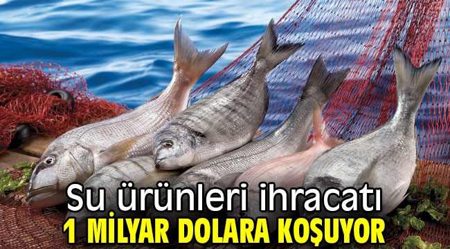 Su ürünleri ihracatı 1 milyar dolara koşuyor