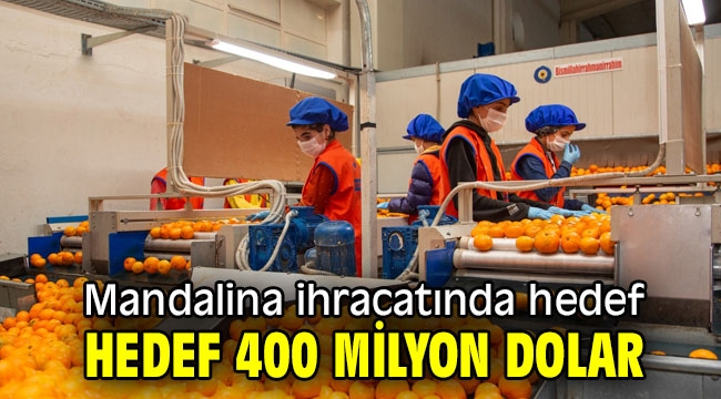 Türkiye, 1 ayda 110 milyon dolarlık mandalina ihraç etti