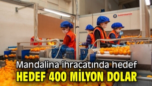 Türkiye, 1 ayda 110 milyon dolarlık mandalina ihraç etti