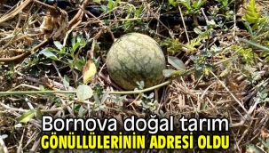 Yakaköy'deki Doğal Tarım Çiftliği büyük ilgi görüyor