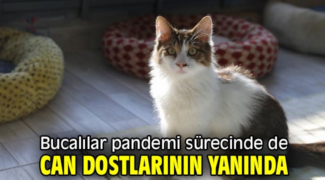 Başkan Kılıç: "Hayatınıza sadık bir dost katın"