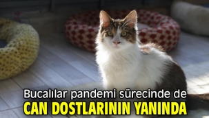 Başkan Kılıç: "Hayatınıza sadık bir dost katın"