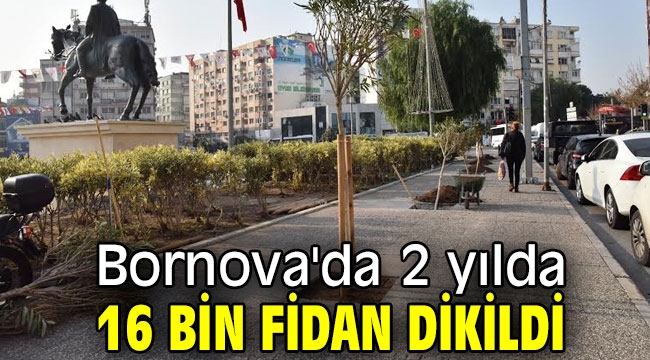 Bornova'da 2 yılda 16 bin fidan dikildi