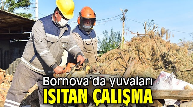 Bornova'da yuvaları ısıtan çalışma