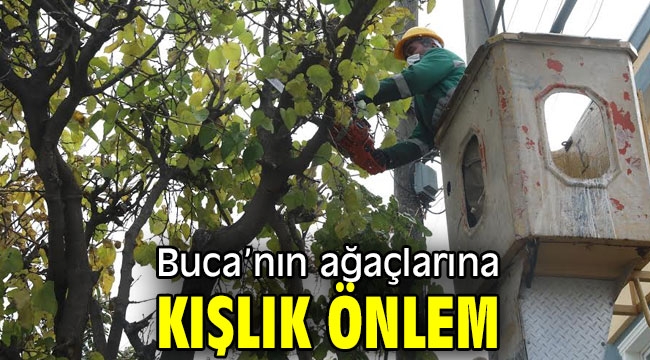 Buca'nın ağaçlarına kışlık önlem 