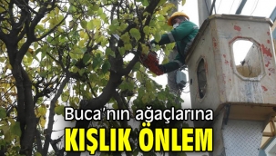 Buca'nın ağaçlarına kışlık önlem 