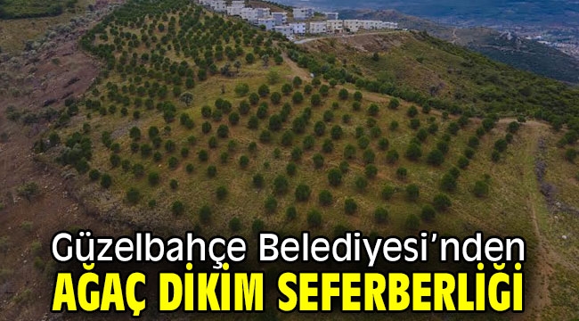 Güzelbahçe Belediyesi'nden Ağaç Dikim Seferberliği