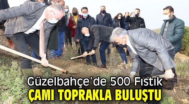 Güzelbahçe'de 500 Fıstık Çamı Toprakla Buluştu