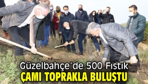 Güzelbahçe'de 500 Fıstık Çamı Toprakla Buluştu