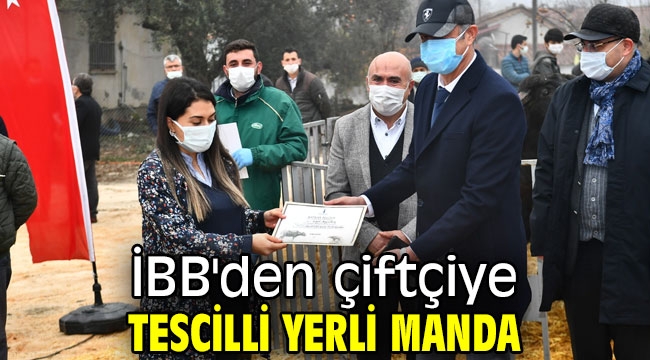 İBB'den çiftçiye tescilli yerli manda