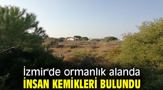 İzmir'de ormanlık alanda insan kemikleri bulundu