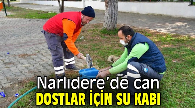 Narlıdere'de can dostlar için su kabı