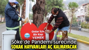 Söke'de Pandemi sürecinde sokak hayvanları aç kalmayacak