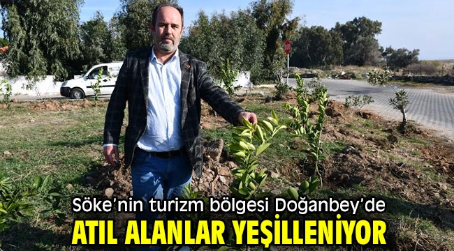 Söke'nin turizm bölgesi Doğanbey'de, atıl alanlar yeşilleniyor