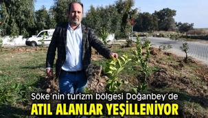 Söke'nin turizm bölgesi Doğanbey'de, atıl alanlar yeşilleniyor