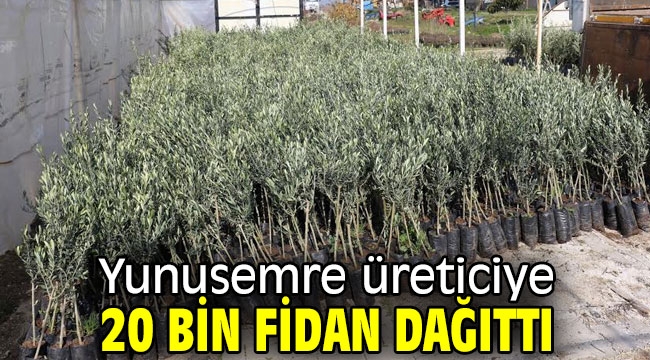 Yunusemre üreticiye 20 bin fidan dağıttı