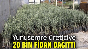 Yunusemre üreticiye 20 bin fidan dağıttı