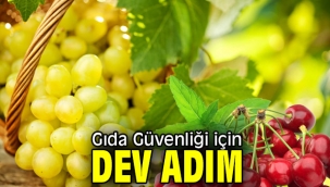 9 üründe pestisit analizleri yapılacak