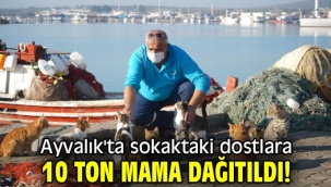 Ayvalık'ta sokaktaki dostlara 10 ton mama dağıtıldı!